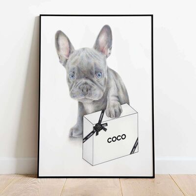 Blue French Bulldog Dog Fashion Poster (50 x 70 cm)