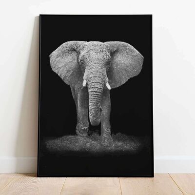 Elephant Lady Newspaper Animal Poster (42 x 59.4cm)