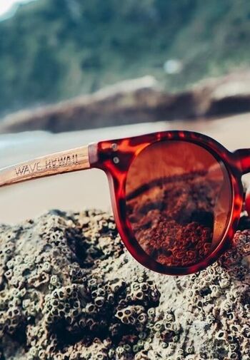 Lunettes de soleil WAVE HAWAII X-UP 5