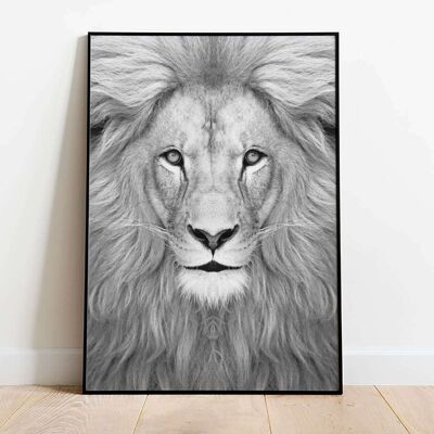 Lion Poster (50 x 70 cm)