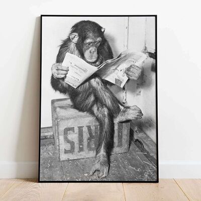 Monkey Reading Poster (42 x 59.4cm)