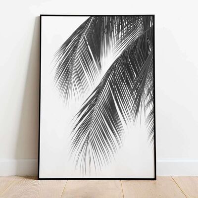 Palm Tree Photo 01 Poster (42 x 59.4cm)