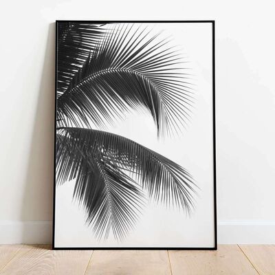 Palm Tree Photo 02 Poster (42 x 59.4cm)