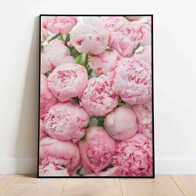 Pink Peony Botanical Nature Floral Poster (42 x 59.4cm)