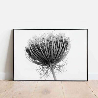 Plant Photography Poster (50 x 70 cm)