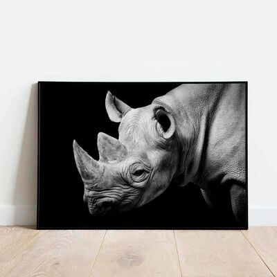 Rhino Photography Animal Poster (50 x 70 cm)