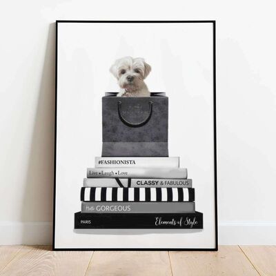 Shih Tzu Dog Shih-poo Animal Fashion Poster (50 x 70 cm)