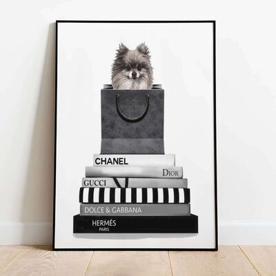Spitz Pomeranian Dog Fashion Animal Poster (42 x 59.4cm)