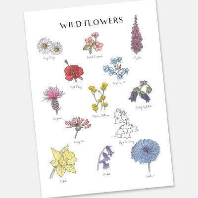Die Willdflowers - Illustrierte Karte A3