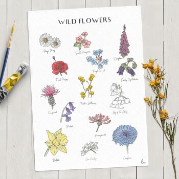 Les Willdflowers - Graphique A4 illustré 3