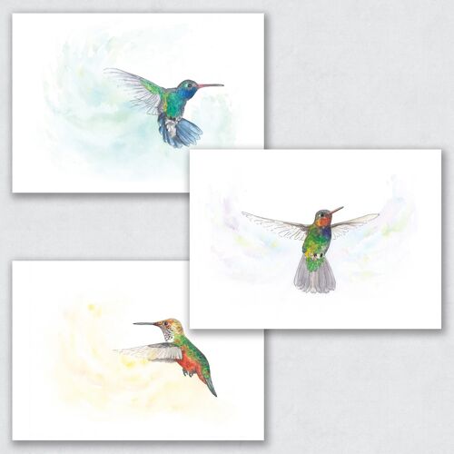 The Hummingbirds - Set of 3