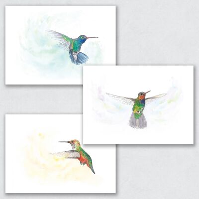 The Hummingbirds - Set of 3