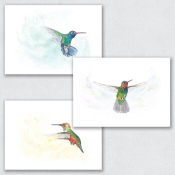Les colibris - Lot de 3 1