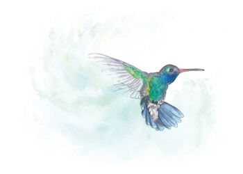 Les colibris - Lot de 3 2
