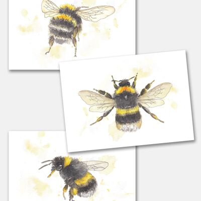 The Bumblebees - Set of 3