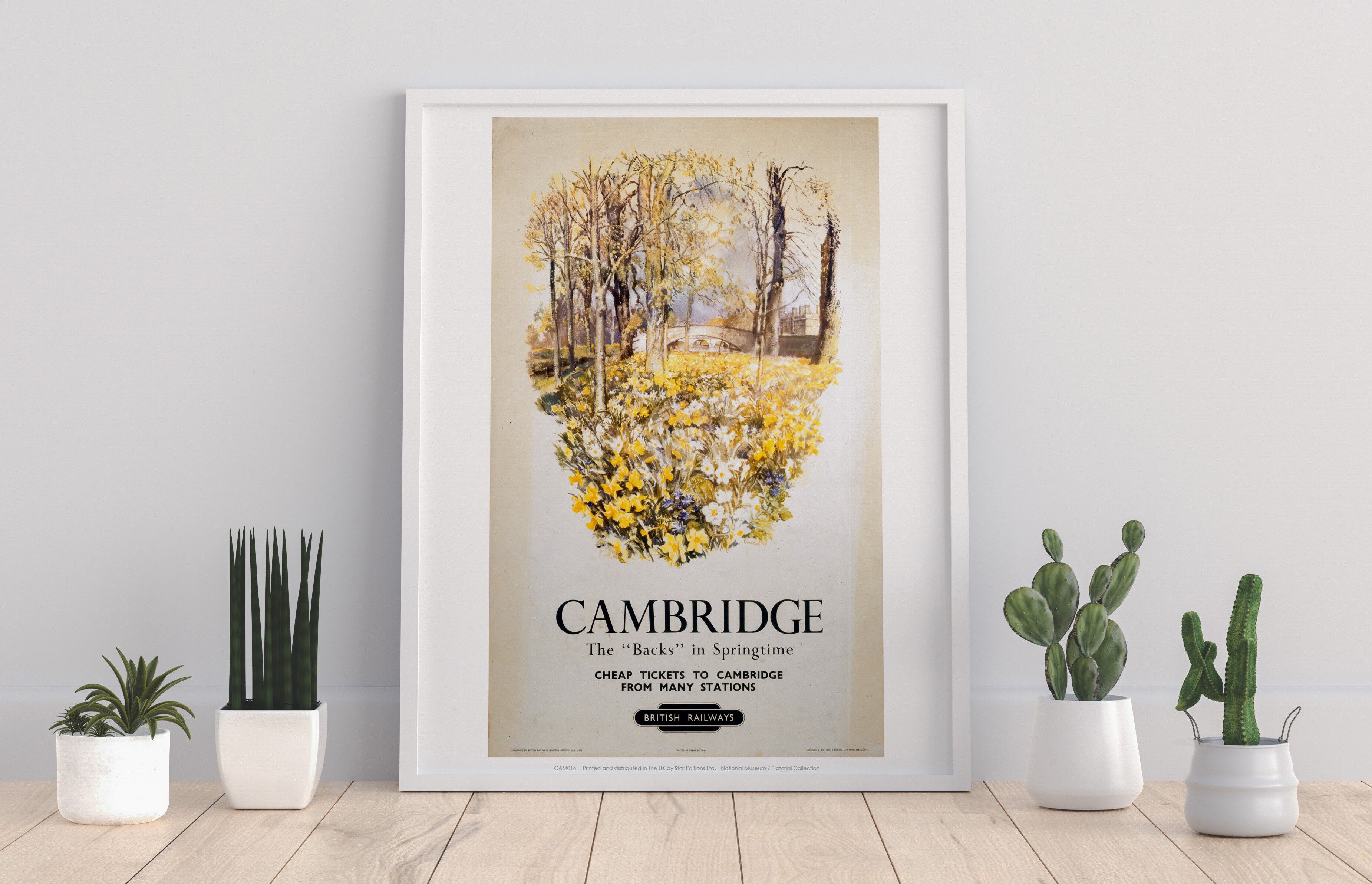 Les 'dos' au printemps - 11X14" Premium Art Print