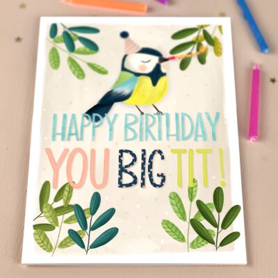 Happy Birthday you tit Birthday Card