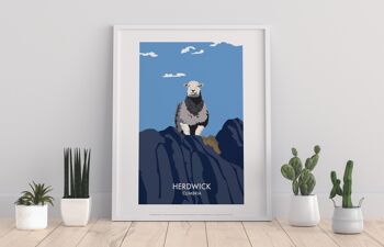 Herdwick - Cumbrie - 11X14" Premium Art Print