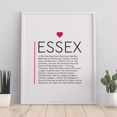 Essex - Aspectos destacados - 11X14” Premium Art Print