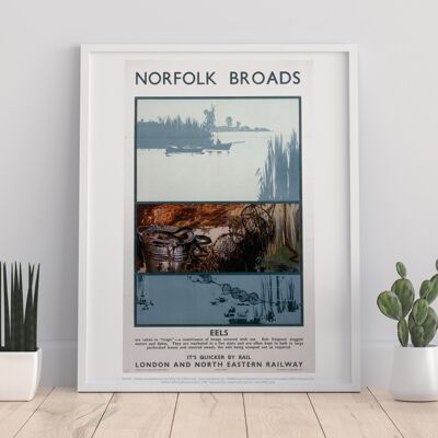 Norfolk Broads - anguille - 11 x 14" stampa d'arte premium