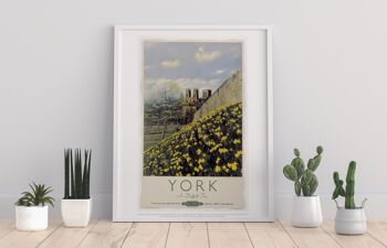 York, fleurs jaunes - 11X14" Premium Art Print