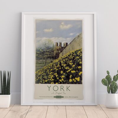 York, Yellow Flowers - 11X14” Premium Art Print
