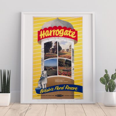 Harrogate Britain's Floral Resort - 11X14” Premium Art Print