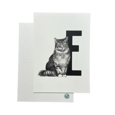 Letter card E with Norwegian forest cat