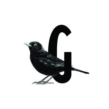 Carte-lettre G avec oiseau 2
