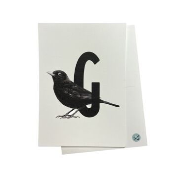 Carte-lettre G avec oiseau 1