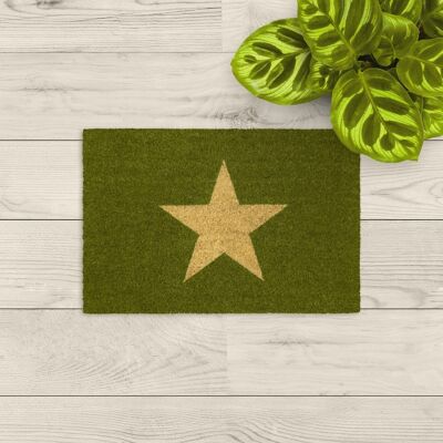 coir doormat; Graphic star green