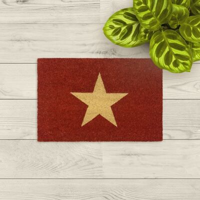 coir doormat; Graphic star red
