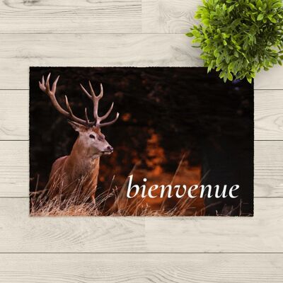 washable doormat; Bienvenue deer