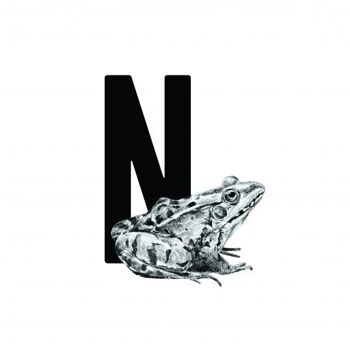 Carte-lettre N avec grenouille 2