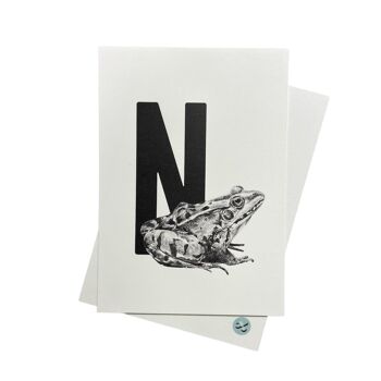 Carte-lettre N avec grenouille 1