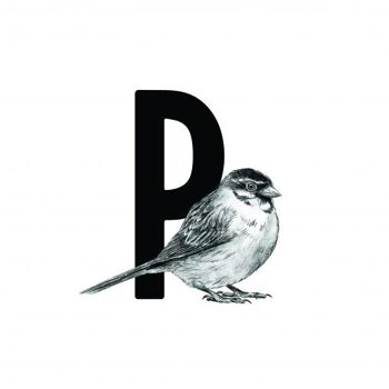 Carte lettre P avec oiseau 2