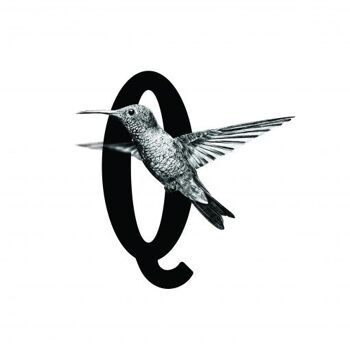 Carte-lettre Q avec oiseau 2