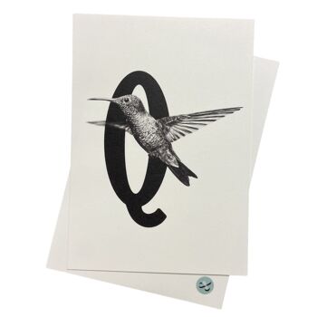 Carte-lettre Q avec oiseau 1