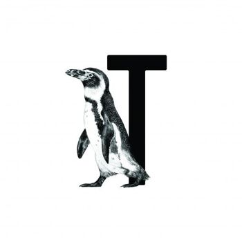 Carte-lettre T avec pingouin 2