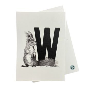 Carte-lettre W avec écureuil 1