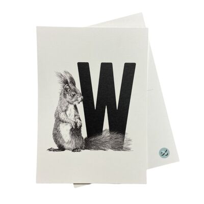 Letterkaart W met eekhoorn