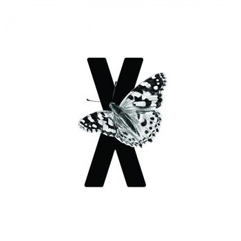 Carte lettre X avec papillon 2