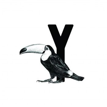 Carte lettre Y avec toucan 2