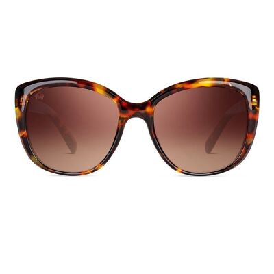 TEJADA Tortoise Brown - Sunglasses