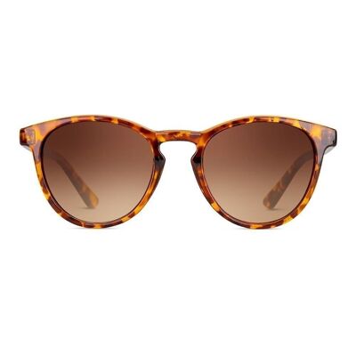 PASTEUR Tortue Marron - Lunettes de soleil