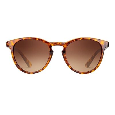 PASTEUR Tortoise Brown - Sunglasses