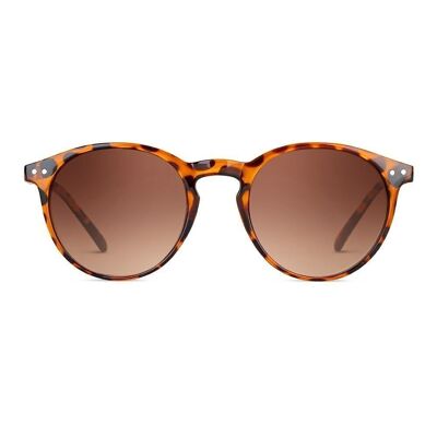 WEIL Tortoise Brown - Sunglasses