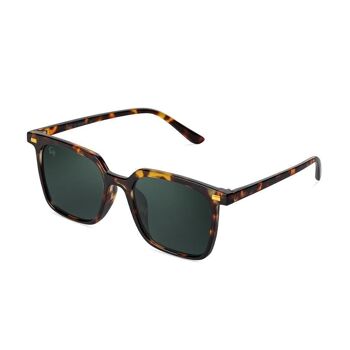 WARHOL Tortoise Green - Lunettes de soleil 9