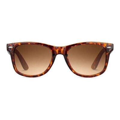 DIRAC Tortoise Brown - Sunglasses