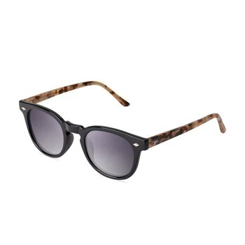 FEYNMAN Tortue Noir - Lunettes de soleil 9